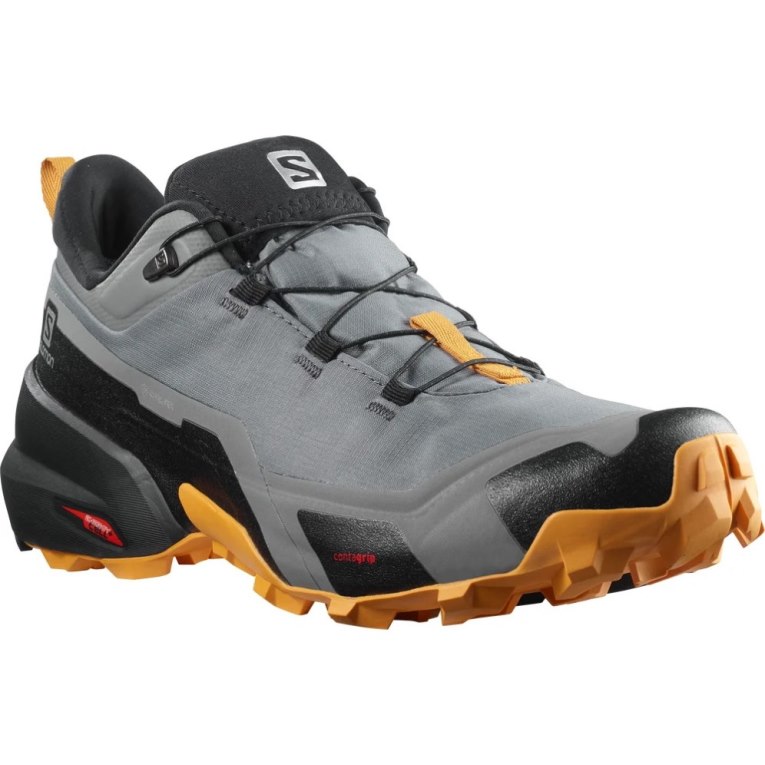 Grey Salomon Cross Hike GTX Men's Hiking Shoes | IE EX8236